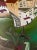 2020s Marc Zimmerman "Climbing Village" Oil Painting, Cliffside Town, Palm Trees, Cubist Architecture, Vivid Green, Contemporary Art West Coast For Sale - Image 5 of 8