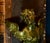 Late 19th Century Rare 19th Century French Gothic Vampire Brass Wall Sculpture For Sale - Image 5 of 11