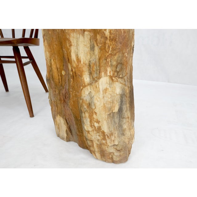 Beige Petrified Wood Organic Shape Multicolor Beige to Black Stand End Table Pedestal For Sale - Image 8 of 10