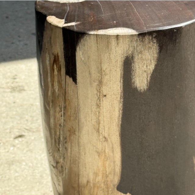 Small Side Table in Black and White Petrified Wood, 1980s For Sale - Image 6 of 18