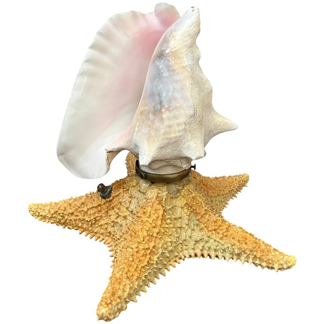 Mid 20th Century Vintage Natural Conch Shell & Starfish Coastal Table Lamps - a Pair For Sale - Image 5 of 18