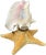 Mid 20th Century Vintage Natural Conch Shell & Starfish Coastal Table Lamps - a Pair For Sale - Image 5 of 18
