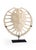 Wildwood Wildwood Sulcata Fiberglass Turtle For Sale - Image 4 of 4