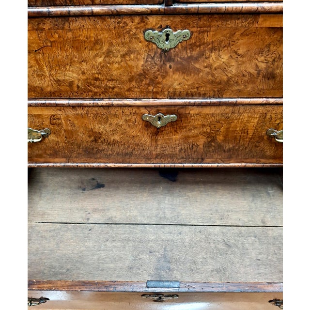 18th-Century English Burr Walnut Chest-on-Stand For Sale - Image 15 of 17