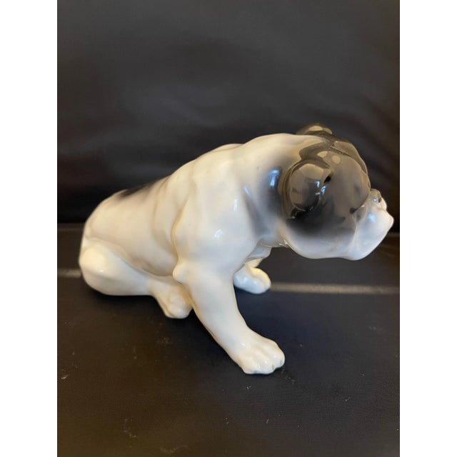 German Porcelain Figure of a Bulldog, Early 20th Century For Sale - Image 4 of 6