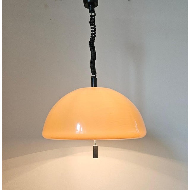Mid-Century Pendant by Luigi Massoni for Guzzini, Italy, 1970s For Sale - Image 10 of 13