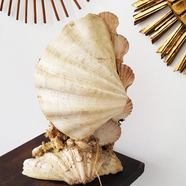 1960s Mid-Century Modern Italian Souvenir Light Sculpture, 1960s For Sale - Image 5 of 7