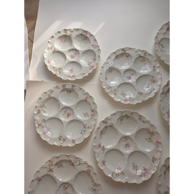 Oyster Plates Collection of Eight French Haviland Limoges For Sale In San Antonio - Image 6 of 9
