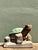 Vintage Hand Carved Turtle Sculpture For Sale - Image 12 of 12