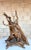 Late 20th Century Monumental Organic Driftwood Sculptural Table Lamp For Sale - Image 5 of 12