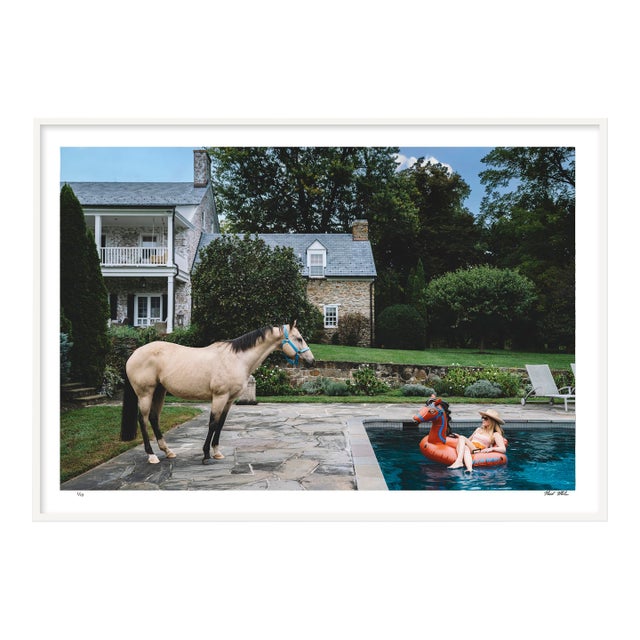 Face-Off, 2023 Contemporary Framed Photograph by Nick Mele, Medium For Sale