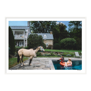 Face-Off, 2023 Contemporary Framed Photograph by Nick Mele, Medium