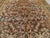 Antique Persian Mahal Rug. 10'4"x 12'10" For Sale - Image 18 of 18