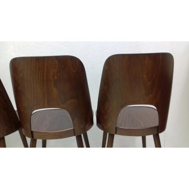 Vintage Dining Chairs by Oswald Haerdtl, 1950s, Set of 4, in Very Good conditions. Designed 1950 to 1959