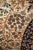 Brown Tabriz Tree of Life Rug in Wool For Sale - Image 8 of 10