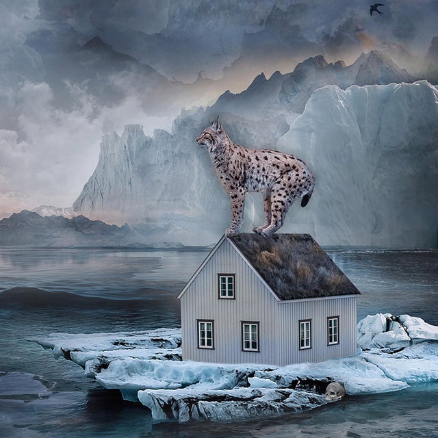Contemporary Shelter - Spirit of the Bison by Marcin Owczarek | Photography of bison with animals on its back For Sale - Image 3 of 3