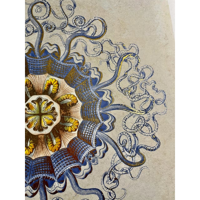 Contemporary original art print Jellyfish Peromedusae with gold leaf on heavy wove white paper. Tone of blue, yellow, and...