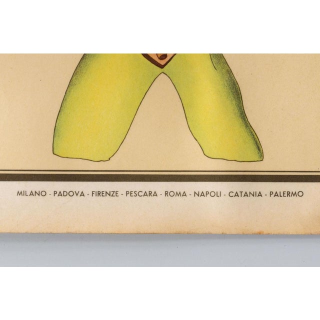 Educational Poster Depicting Reptiles and Amphibians from G.B. Paravia Torino, 1959 For Sale - Image 3 of 8