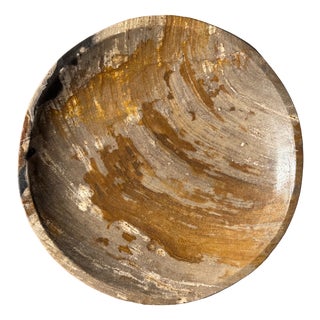 Trinket Tray in Petrified Orange-Grey Wood, 1980s For Sale