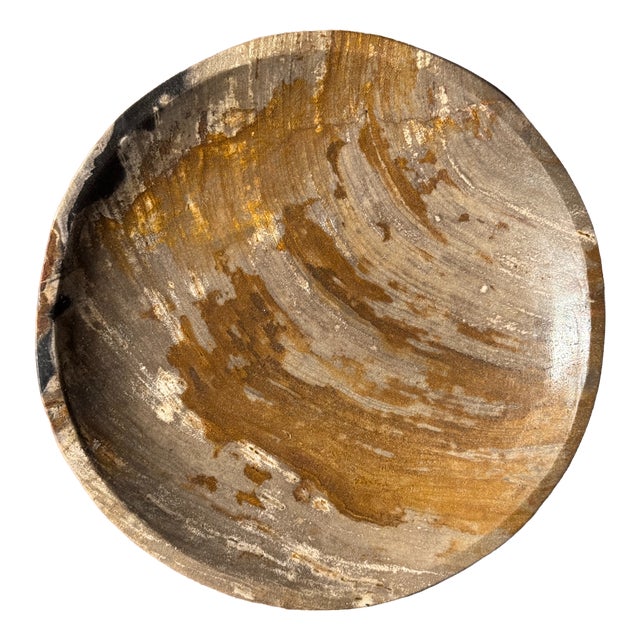 Trinket Tray in Petrified Orange-Grey Wood, 1980s For Sale