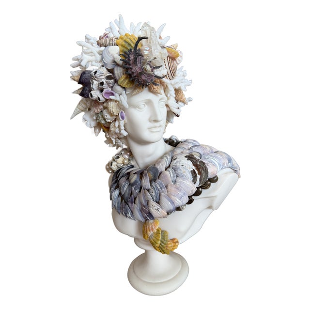 CSS 14"h. Seashells Marble Bust of Apollo For Sale