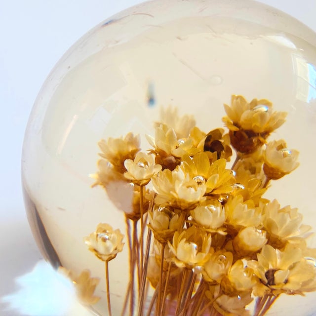 Mid 20th Century Lucite Flower Paperweight For Sale - Image 5 of 8