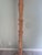 Vintage Carved Cerused Wood Italian Palm Tree Roche Bobois Style Floor Lamp For Sale - Image 11 of 12