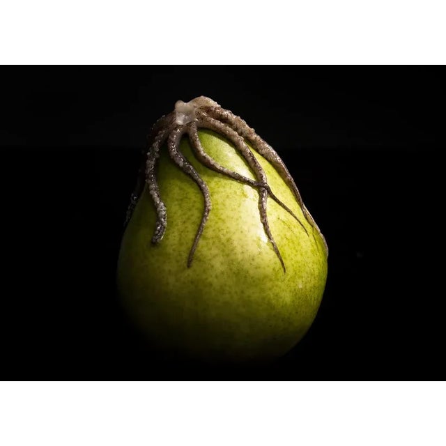 Pear & Octopus by Curtis Speer Print, 18" x 24" For Sale