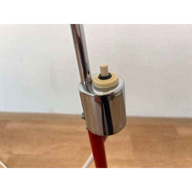 Mid-Century Modern Organic Floor Lamp by Josef Hůrka, 1950 For Sale - Image 6 of 12