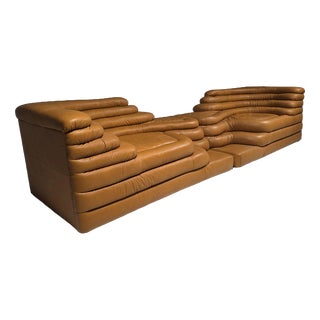 DS-1025 Terrazza Sofas by Ubald Klug for De Sede, 1980s, Set of 2 For Sale