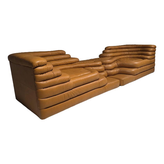 DS-1025 Terrazza Sofas by Ubald Klug for De Sede, 1980s, Set of 2 For Sale