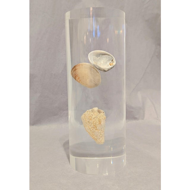 Mid-Century Modern Lucite With Shells For Sale - Image 3 of 5