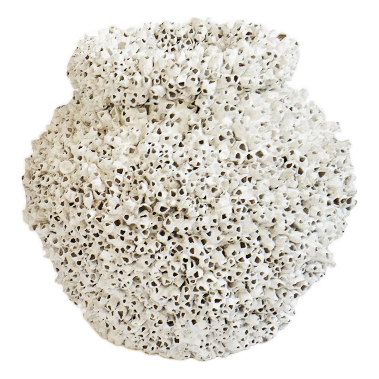 Vintage White Barnacle Shell Pot | Chairish