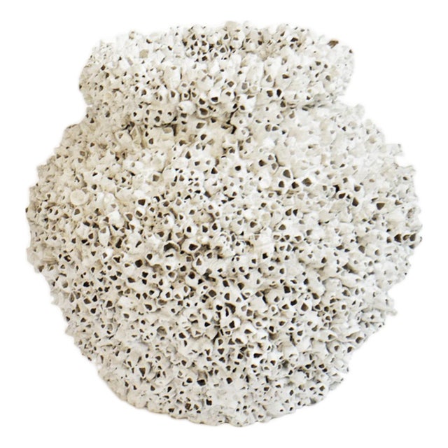 Vintage White Barnacle Shell Pot For Sale