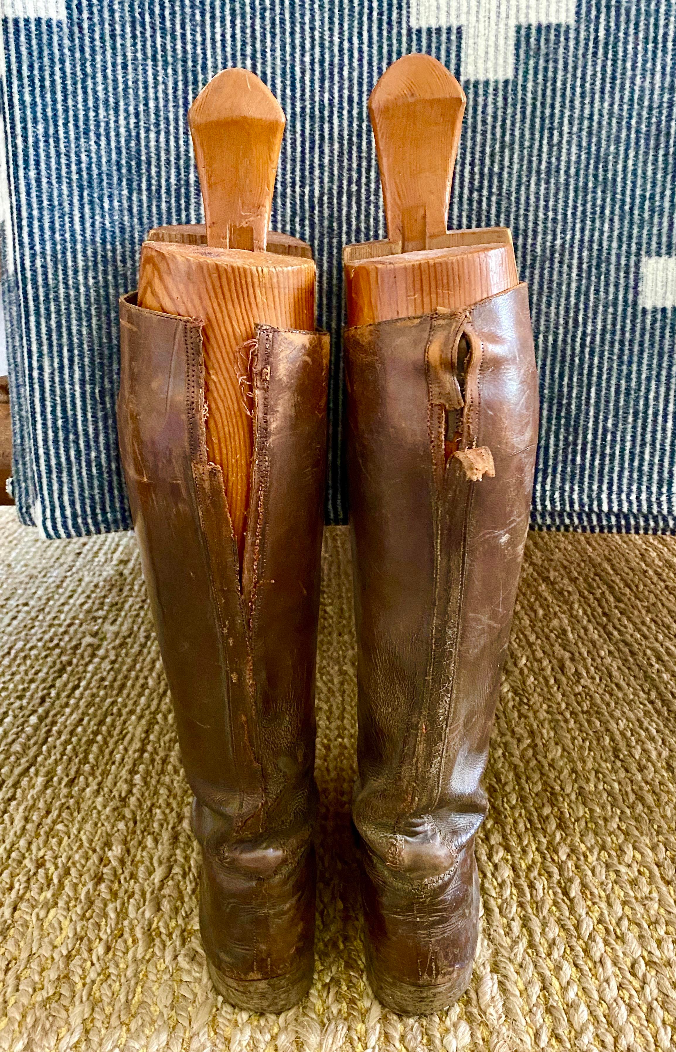 equestrian tall boot trees