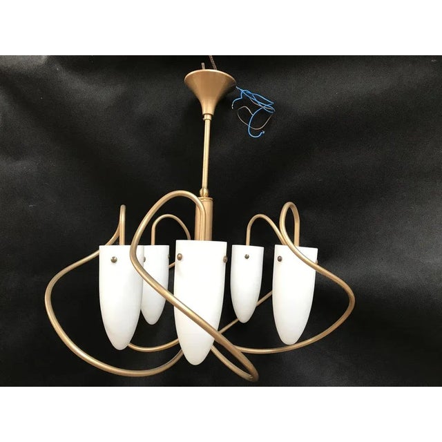 Fancy Metal Chandelier with Glass Shades by Volta For Sale - Image 12 of 12