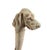 Ivory Vintage Figural Dog Head Magnifying Glass For Sale - Image 8 of 12