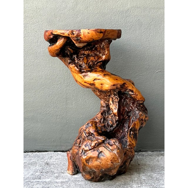Wood Vintage Japanese Twisted Root Pedestal For Sale - Image 7 of 12