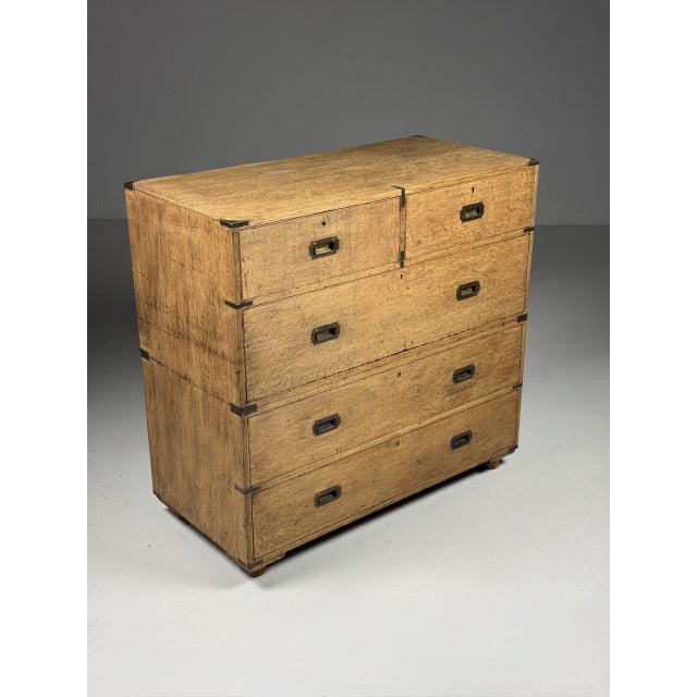 Campaign Chest of Drawers in Oak, 19th Century For Sale - Image 14 of 18