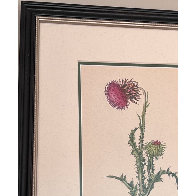 This is a rare and unique set of three framed Czechoslovakian botanical prints. I discovered these almost a decade ago and...