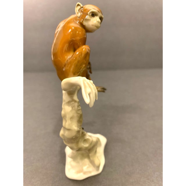 1950s 1950s Hutschenreuther Porcelain Monkey Figurine For Sale - Image 5 of 9