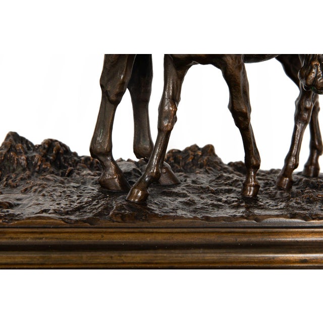 Rare French Antique Bronze Sculpture “Mare and Foal” by Isidore Bonheur For Sale - Image 12 of 12