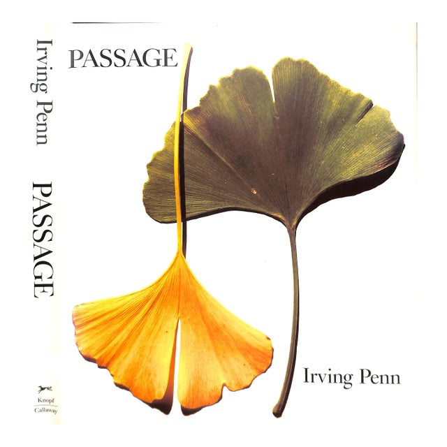 "Passage" 1991 Penn, Irving For Sale