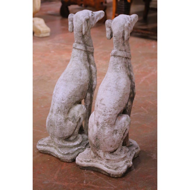 Gray Pair of Vintage French Outdoor Weathered Carved Stone Greyhound Dog Sculptures For Sale - Image 8 of 9