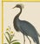 Here we have a demoiselle crane. The print has the birds name in French at the bottom if you would like to do further...