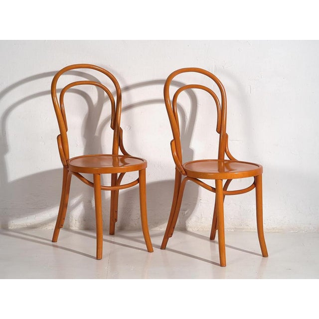 1920s Chairs from Thonet, 1920s, Set of 4 For Sale - Image 5 of 17