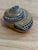 Early 21st Century Jay Strongwater Miniature Shell Trinket Box For Sale - Image 5 of 5