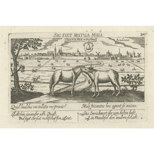University City of Franeker, 1678, Paper For Sale