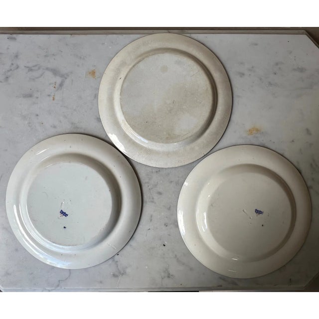 Copeland Late Spode Plates Pattern 1589, Early to Mid 1800's, Set of 3 For Sale - Image 11 of 12