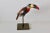 Sergio Bustamante a.p. Papier-Mâché on Brass Stand Vintage Mid Century For Sale - Image 13 of 13
